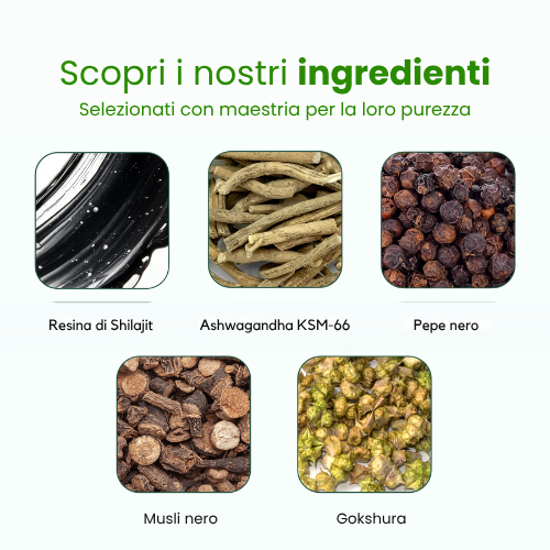 Caramelle gommose allo Shilajit puro