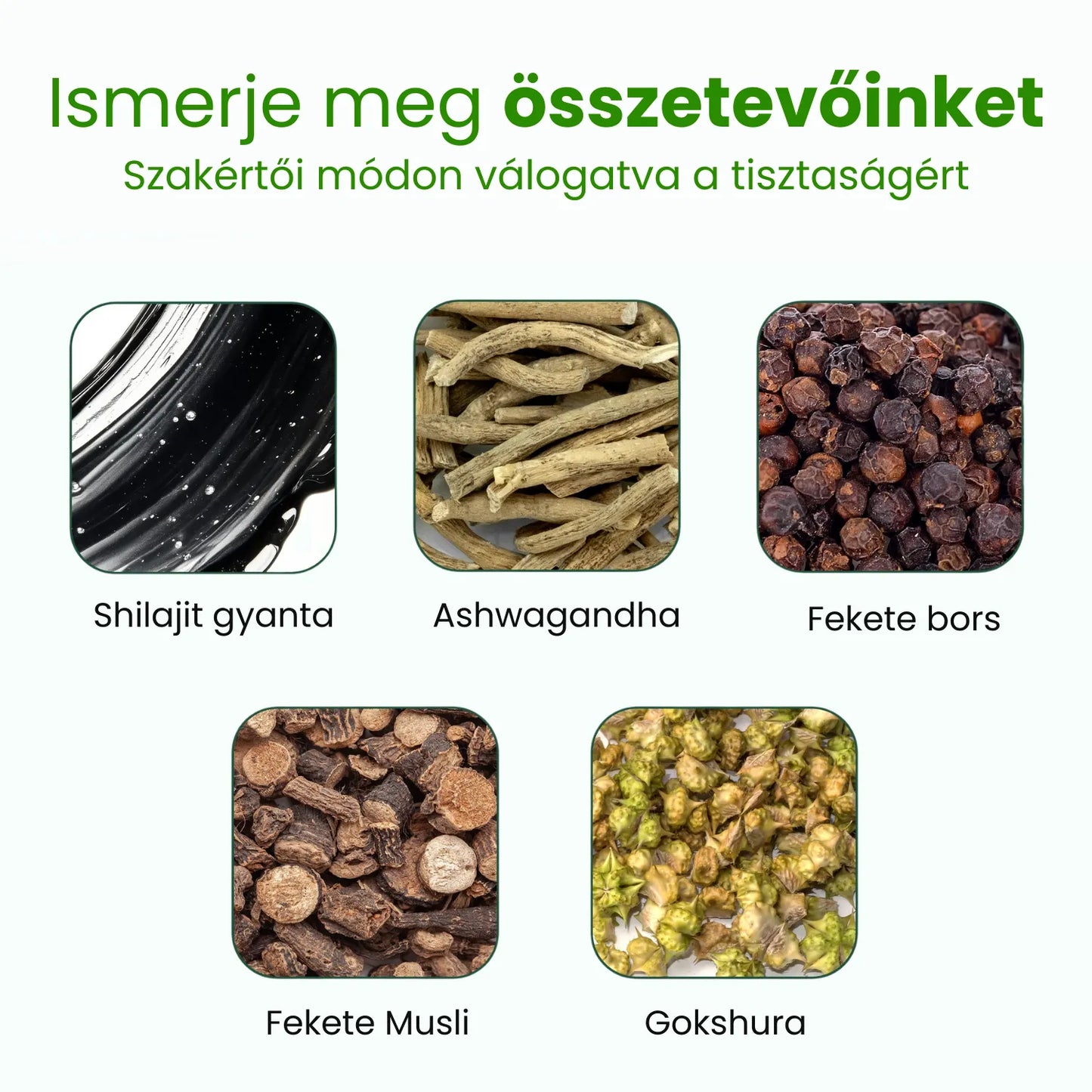 Prémium himalájai Shilajit gumivitaminok