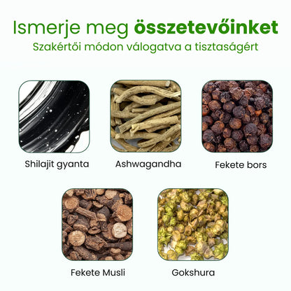 Prémium himalájai Shilajit gumivitaminok