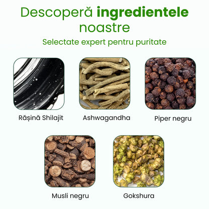 Jeleuri Premium Shilajit din Himalaya