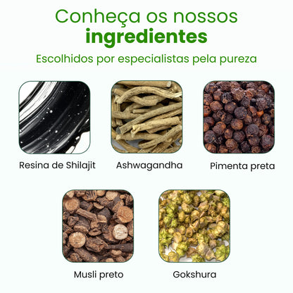 Gomas Premium de Shilajit do Himalaia