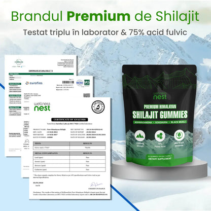 Jeleuri Premium Shilajit din Himalaya
