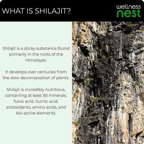 Pure Shilajit Essential Extract