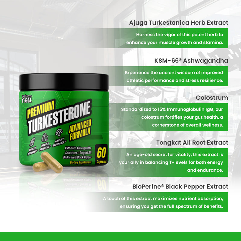 Turkesterone Advanced Formula Dad Bod - Wellness Nest