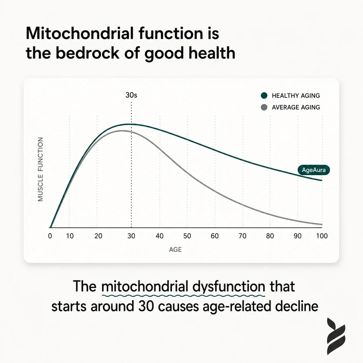 Mitochondrial function chart - decline after age 30