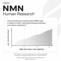 NMN human research NAD+ over 12 weeks