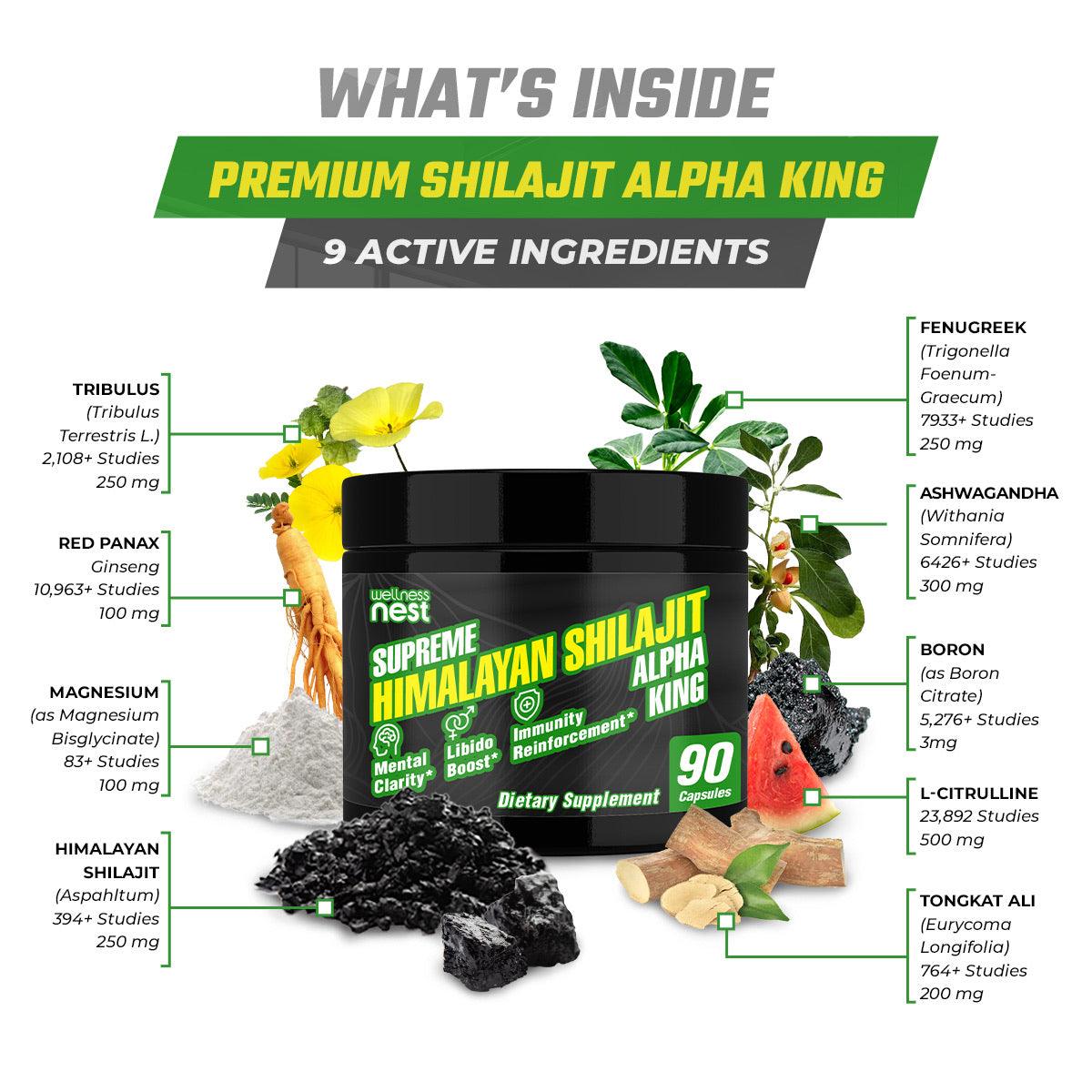 Premium Shilajit Alpha King - Wellness Nest