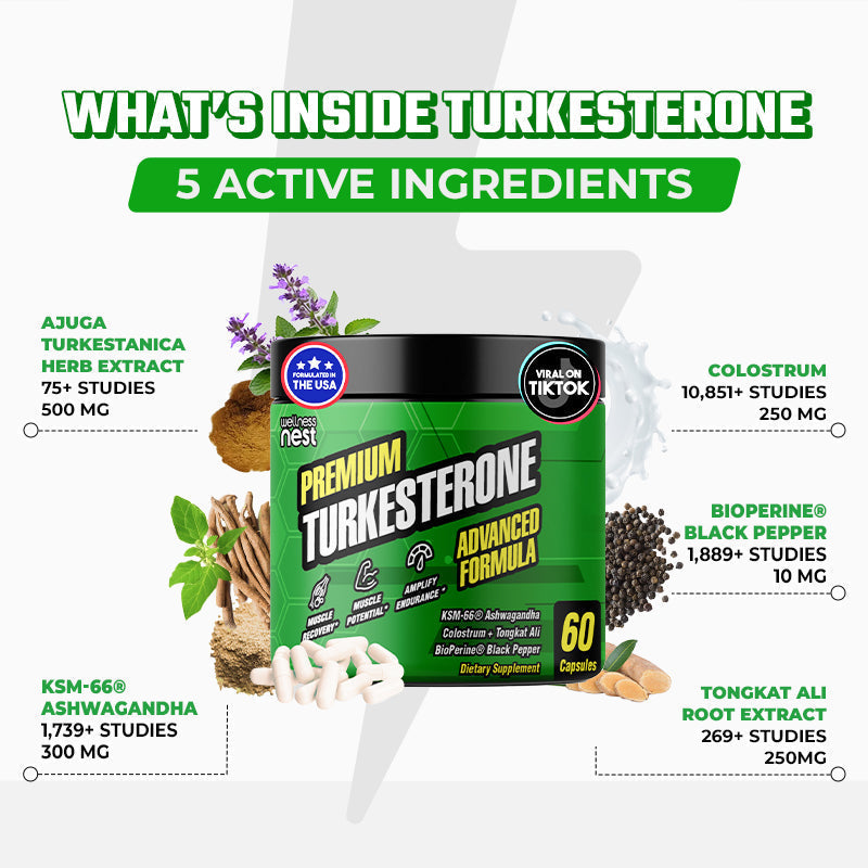 Premium Turkesterone Advanced Formula - Wellness Nest