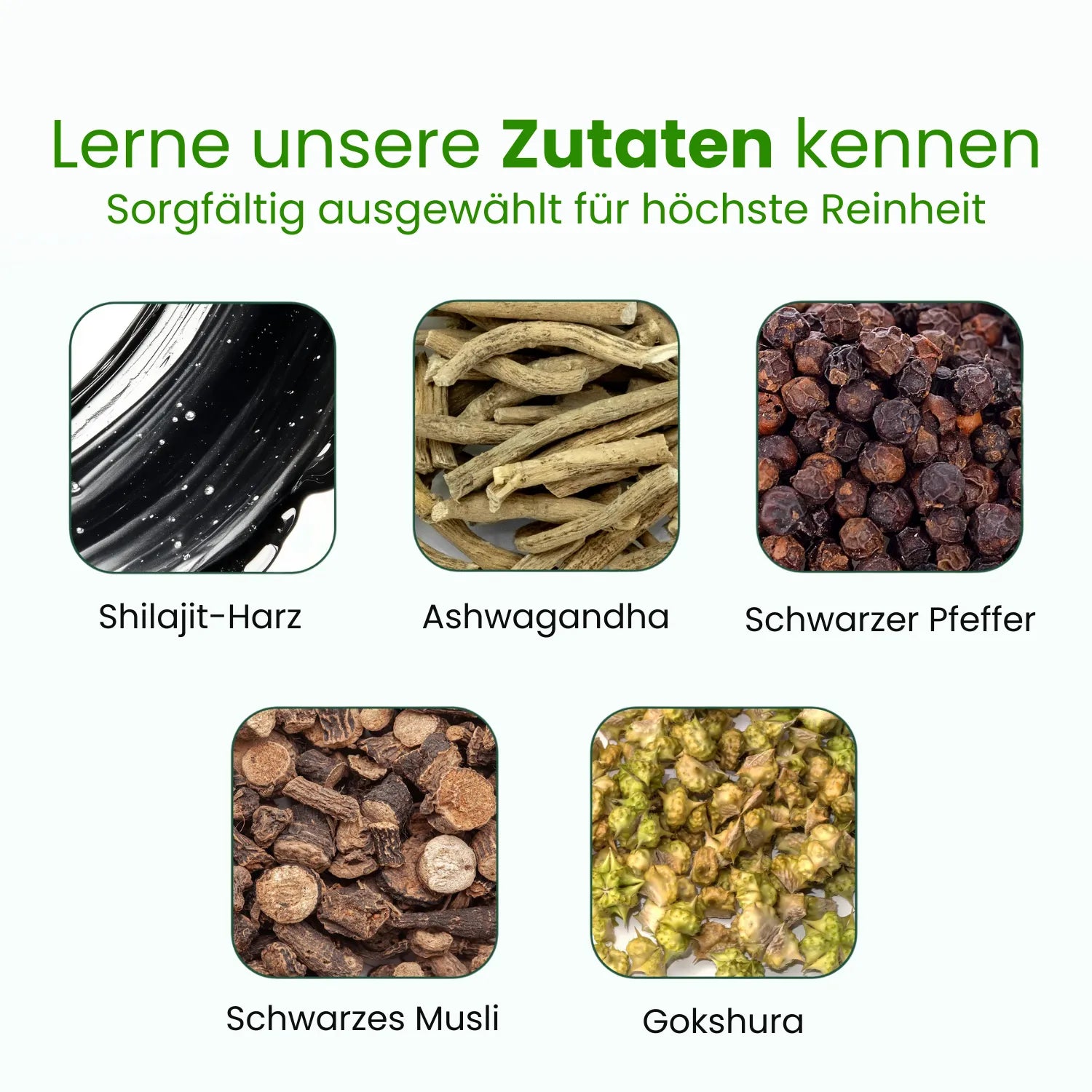 Premium Himalaya Shilajit Gummibärchen