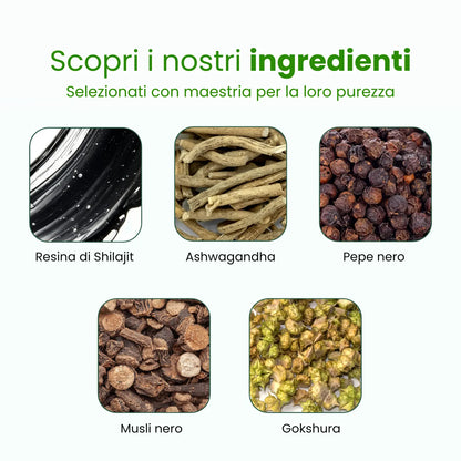 Gommose premium Shilajit dell'Himalaya
