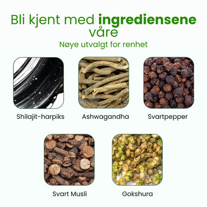 Premium Shilajit-gummier fra Himalaya