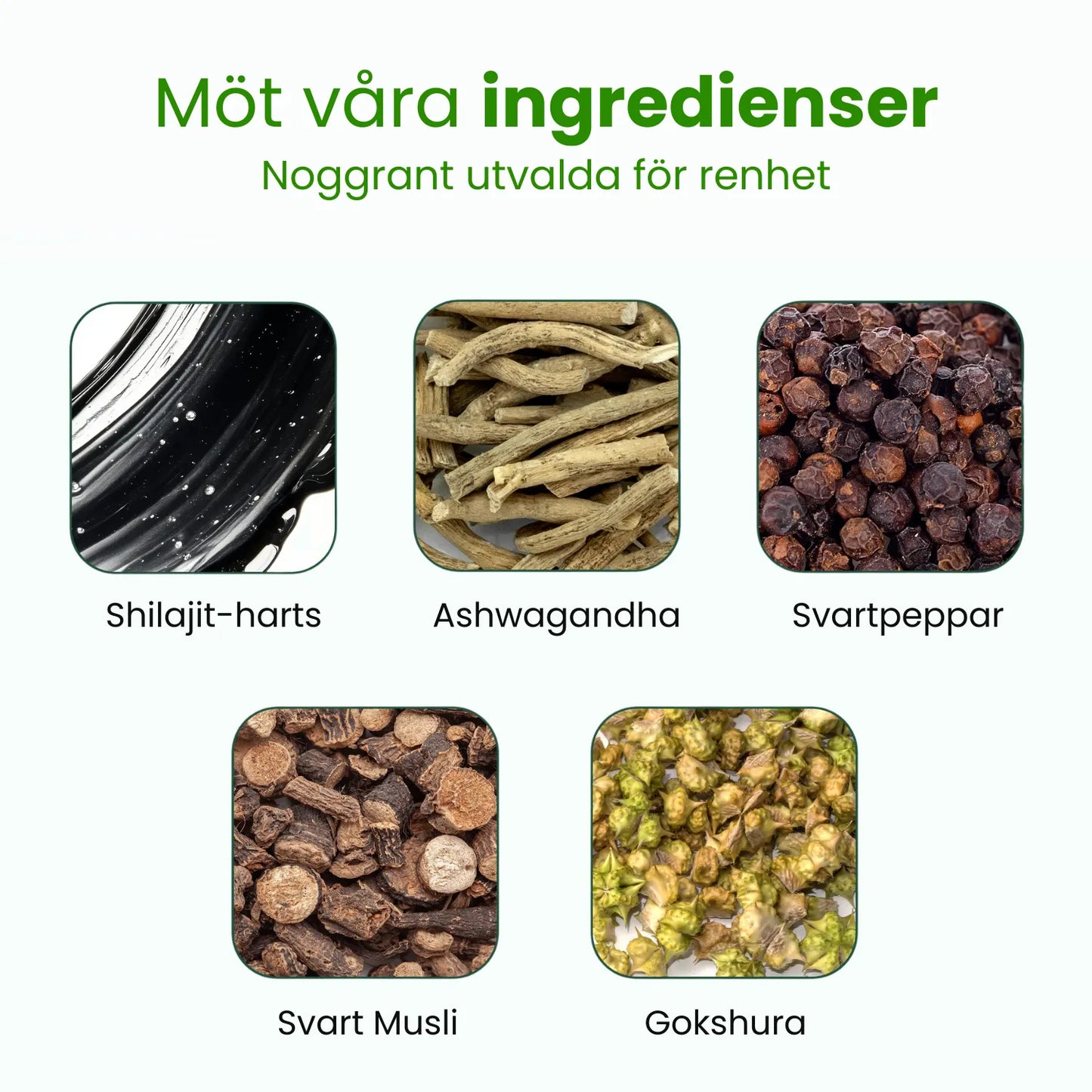 Premium Himalaya Shilajit-gummies