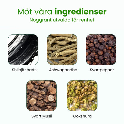 Premium Himalaya Shilajit-gummies