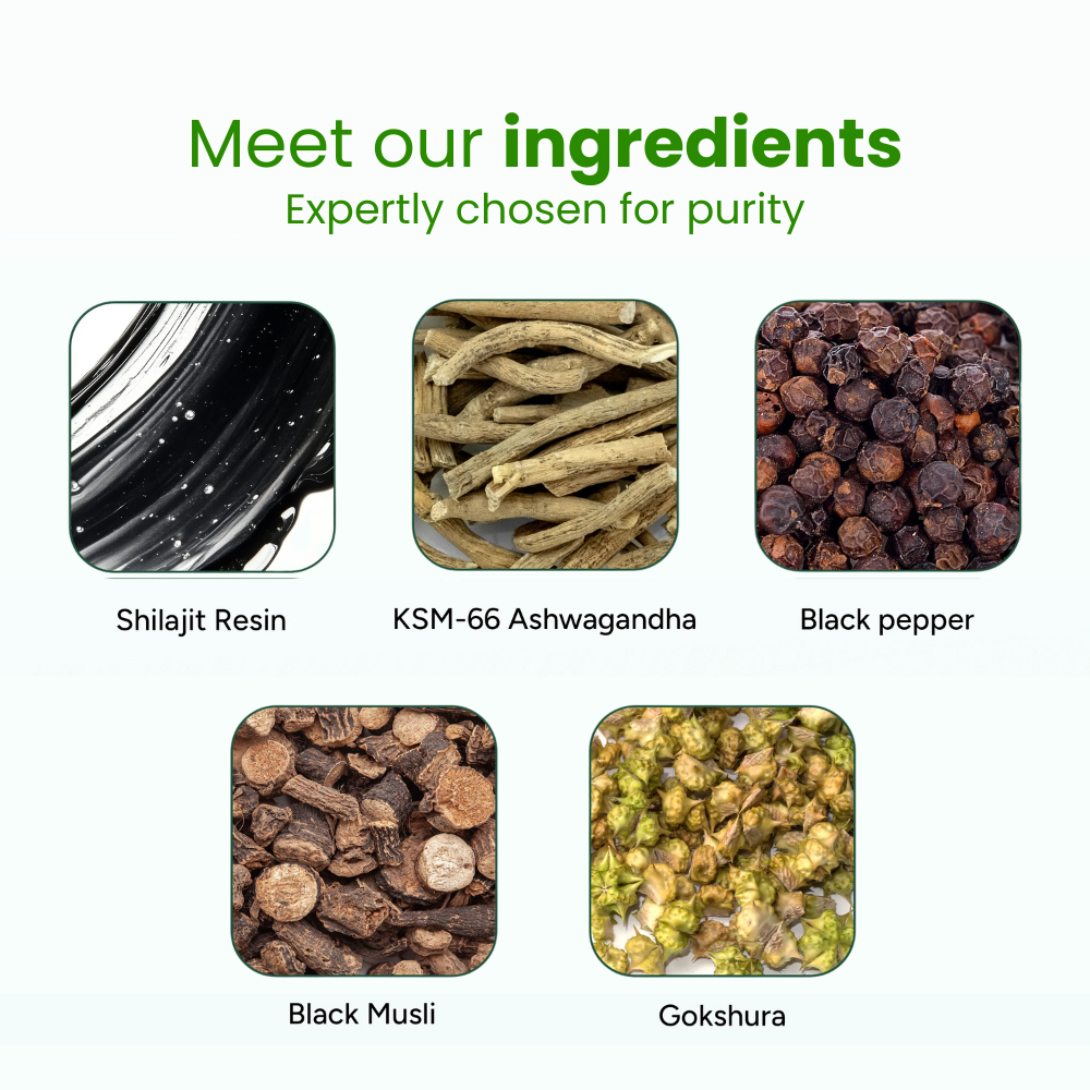 Premium Himalayan Shilajit Gummies
