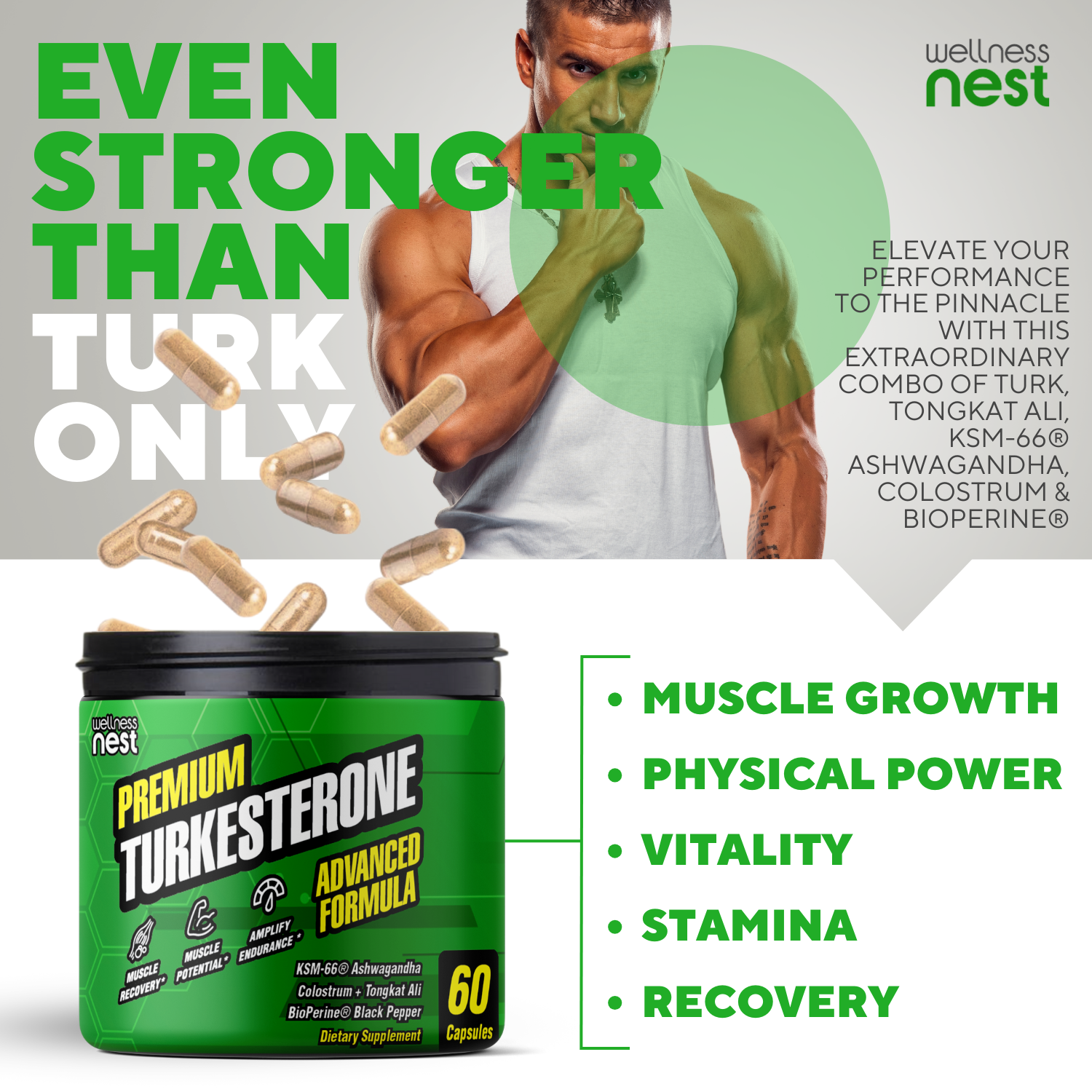 Premium Turkesterone Advanced Formula - Wellness Nest