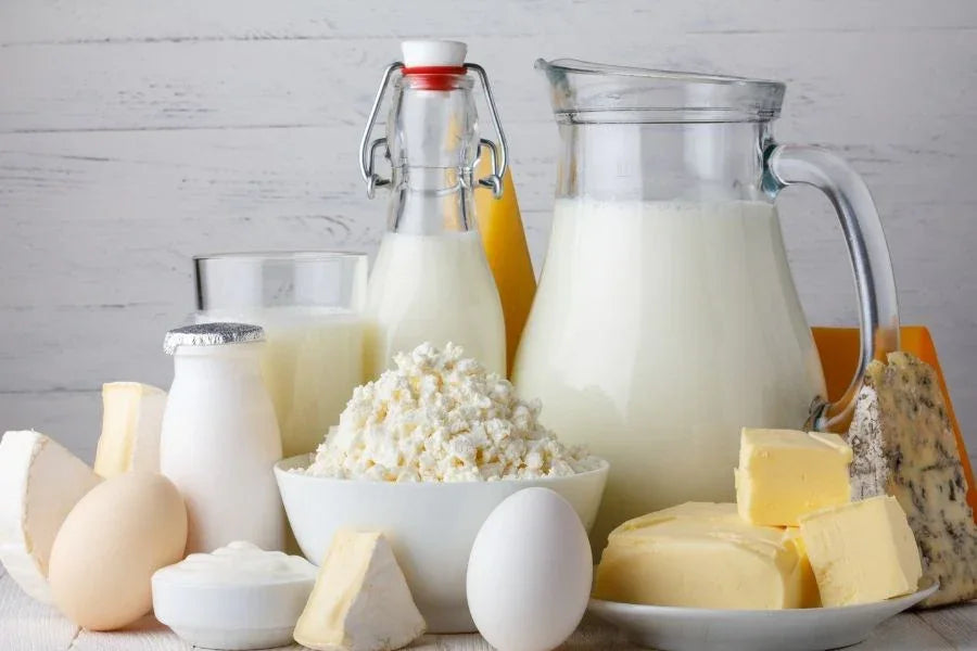 How MenoMate's Probiotics Target Menopause Symptoms