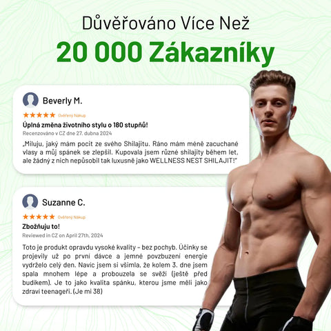 Himálajský Shilajit Extrakt