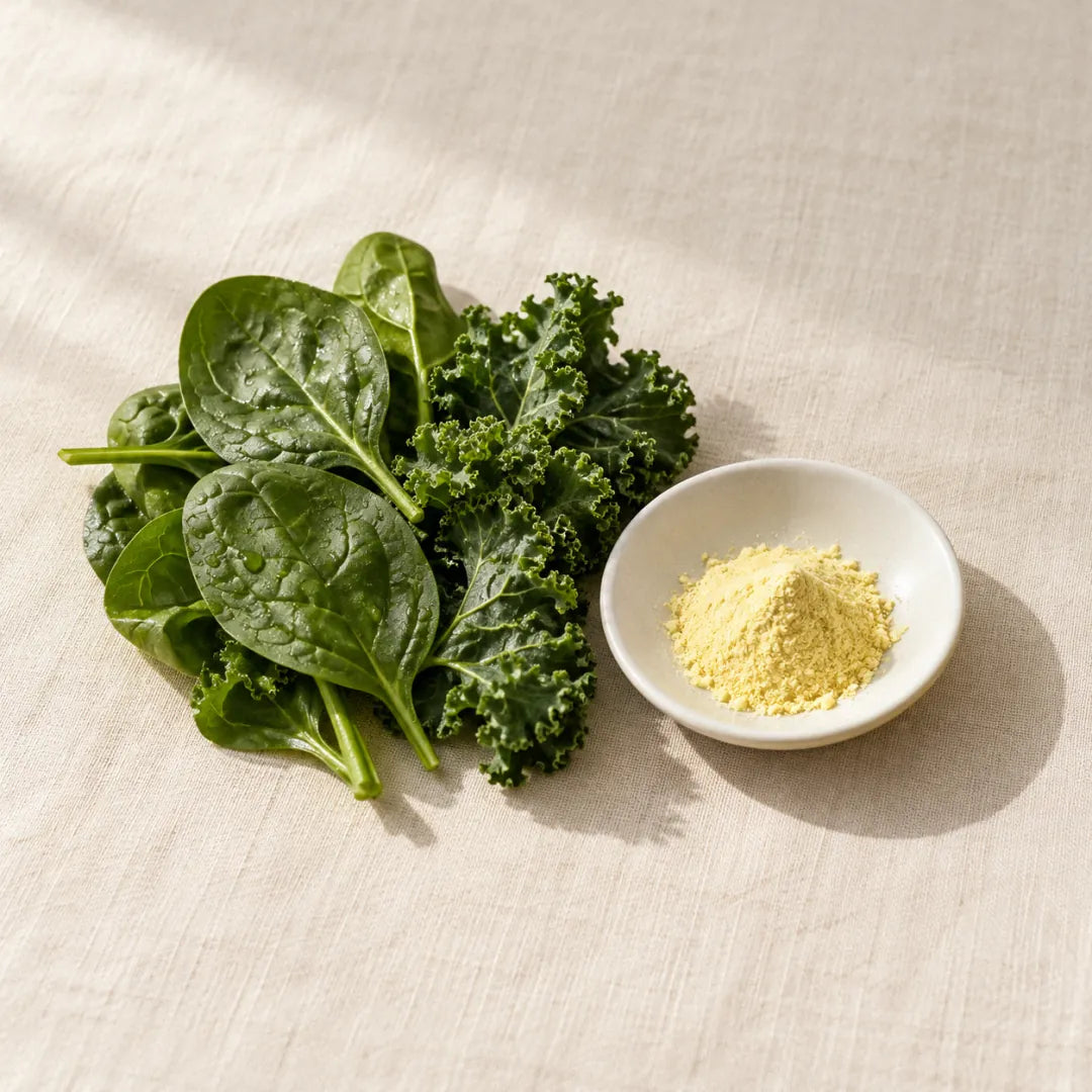 Active folate: pale powder in a small dish beside fresh leafy greens (illustration)