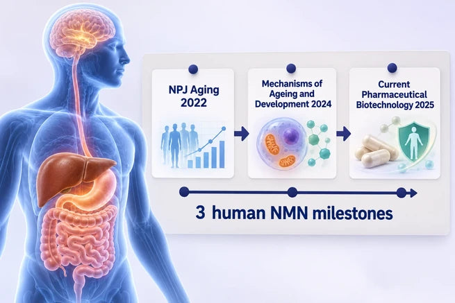 Clinical evidence board highlighting the 3 human NMN milestones: NPJ Aging 2022, Mechanisms of Ageing and Development 2024, a