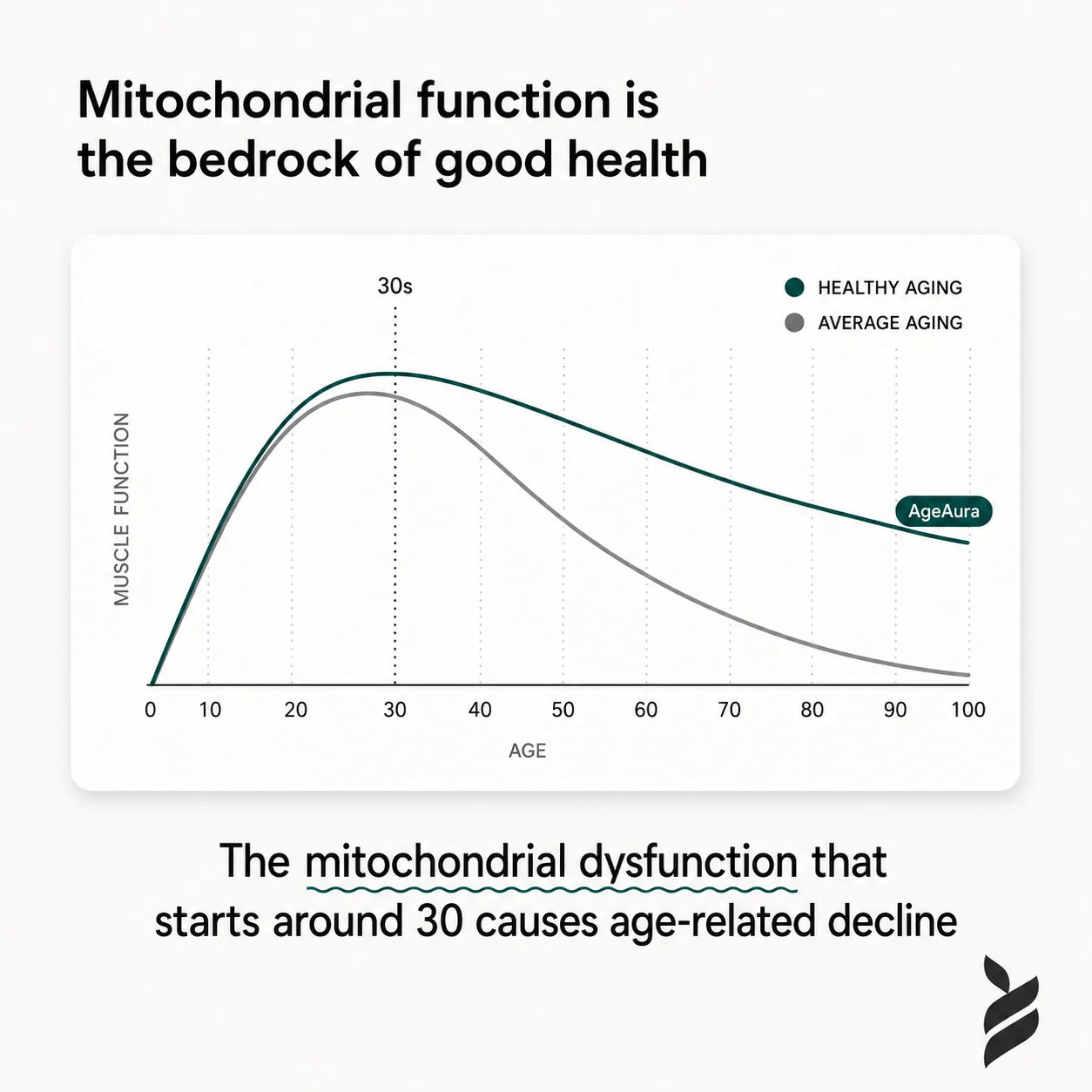 Muscle function chart connected to mitochondrial health